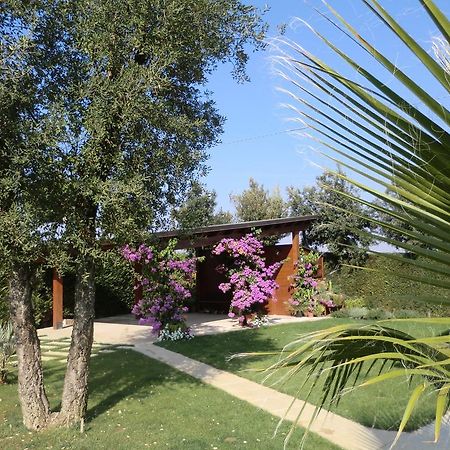 B&B "Corte San Tomaso" Legnago Exterior photo