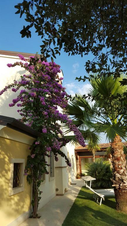 B&B "Corte San Tomaso" Legnago Exterior photo